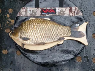 북구한방터 오짜