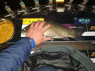 11월1일 경북 의성권 소류지 입니다~