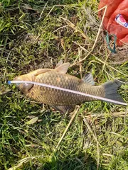 25년 낚시인생 기록갱신 최대어^^