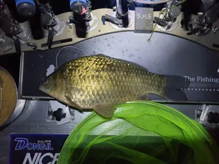 7전8기 도전 끝에 4짜 얼굴 보았습니다~~~