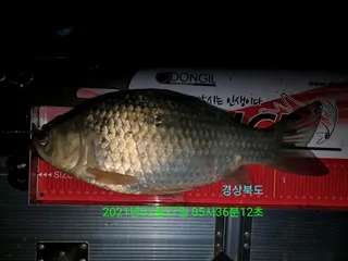 2021년도 첫 월척