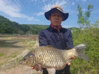 운 좋게  한마리  했습니다