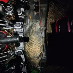 여기 이런것도 쳐줍니까