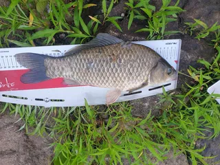 물빠진 준 계곡지에서