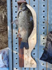 기록갱신했어요