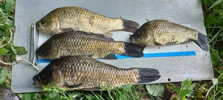 올해는 넘 힘듭니다