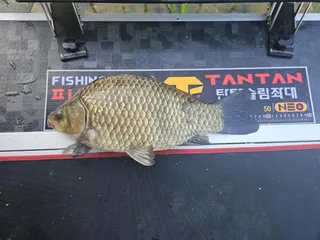 시즌 첫 사짜네요  ^^