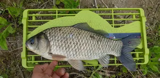 올해 첫 사짜입니다^^