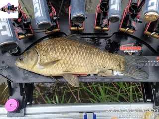 뜻하진않게 인연이된녀석ㅎ