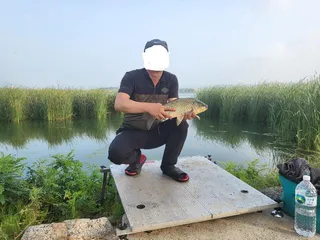 인생고기입니다~