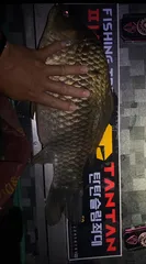 꿈은 이루어집니다