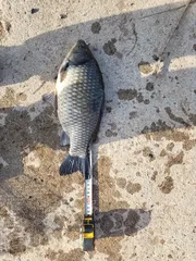 의성군 가음지 345