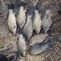 21년 3월 14일 밤낚시