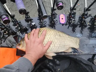 10월 기록갱신에 어복 터진날