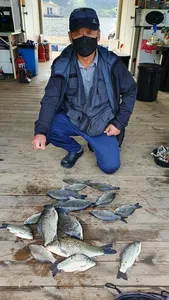 고삼지 양촌좌대 마리수 조항 시작??