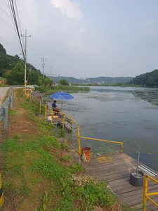 배수없는 항곡낚시터소식입니다.