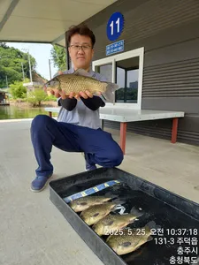 화곡낚시터 조황정보 