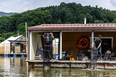 안성 두메낚시터 6월 29일 조황정보