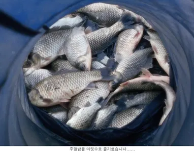 조금은 아쉬운 주말이었습니다....