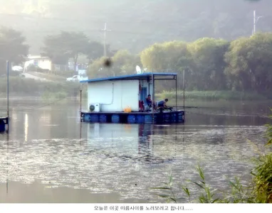 무더위 속에서도 붕어가 나옵니다....