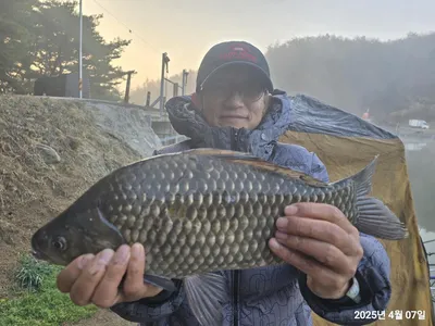 용담대물낚시터 