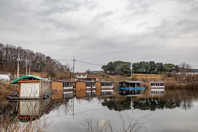 안성 두메낚시터 12월 14일 조황정보