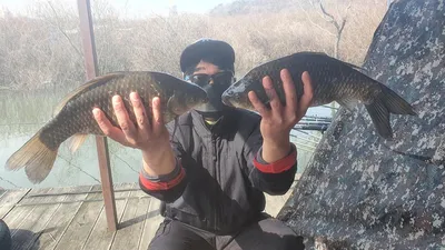 고삼지 관리형 수준의 조황이 이어집니다.!!