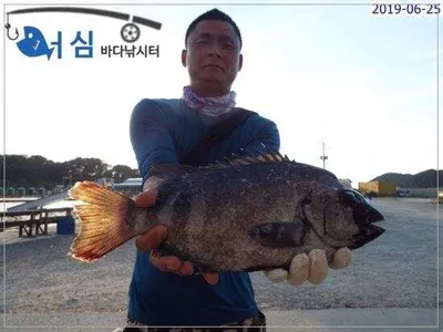 6월25일 어심바다낚시터조황 