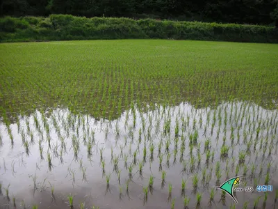 ■■ 삼합지 ■■ “호호호호호ㅎ조황”