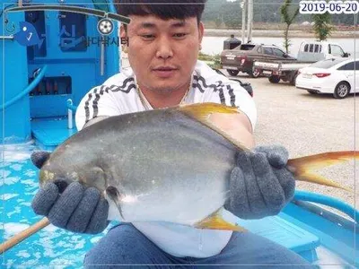 6월20일 어심바다낚시터조황 