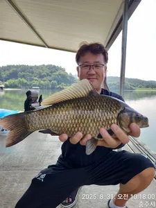 화곡낚시터 주말조황 