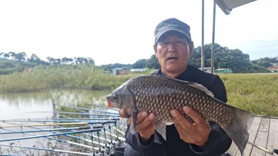 고삼지 최고의 포인트 사짜조황!!