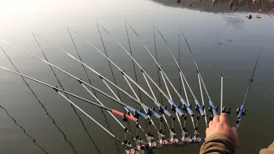 아산 명품 월랑낚시터 2월 첫번째 조황이야기입니다...^^