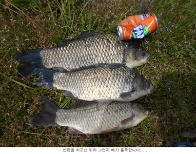 강한 바람으로 고전한 주말입니다....