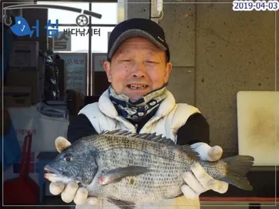 4월3일 어심바다낚시터조황 