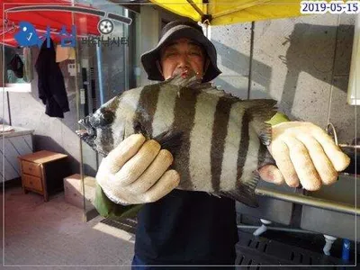 5월15일어심바다낚시터조황 