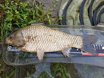 아름다운계곡속에자리잡은장계지에서