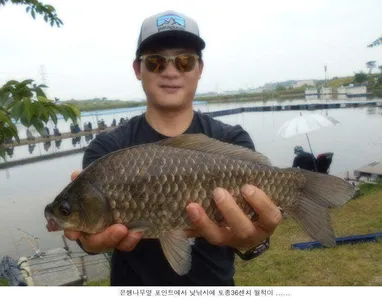 오늘 신봉지는 때깔좋은 붕어가....