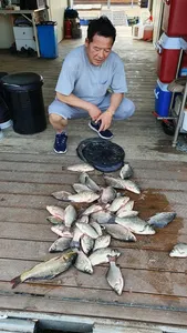 고삼지 붕어마리수에 심박뛰는 조황!!