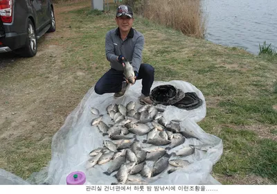 밤낚시에 이런 대박이....