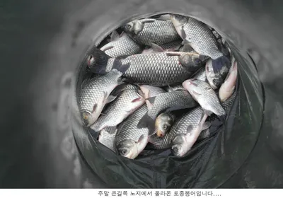 아쉬운 연휴조황입니다...