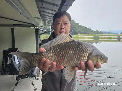 용담대물낚시터 