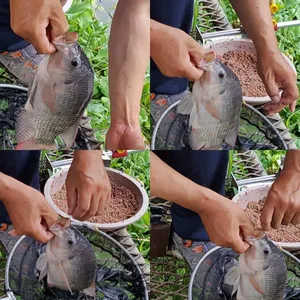 날씨까지 우리편