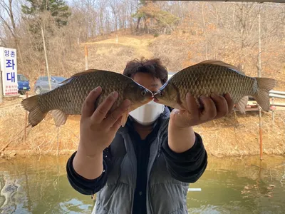 고삼지 최상류권 산란임박!!!!