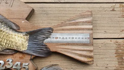 고삼지 물골포인트 마리수 조황!!