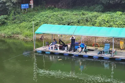 안성 두메낚시터 8월24일 조황안내. 