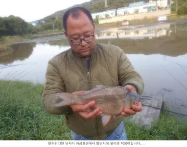 만수위 낚시터에 붕어를 방류합니다....