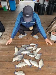 고삼지 양촌좌대 마리수 달려봅니다.