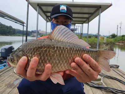 고삼지 태풍전 화이팅 조황입니다.