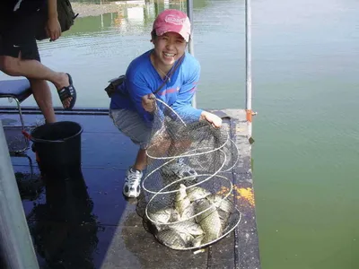 국화지 9월 세재 주말조황